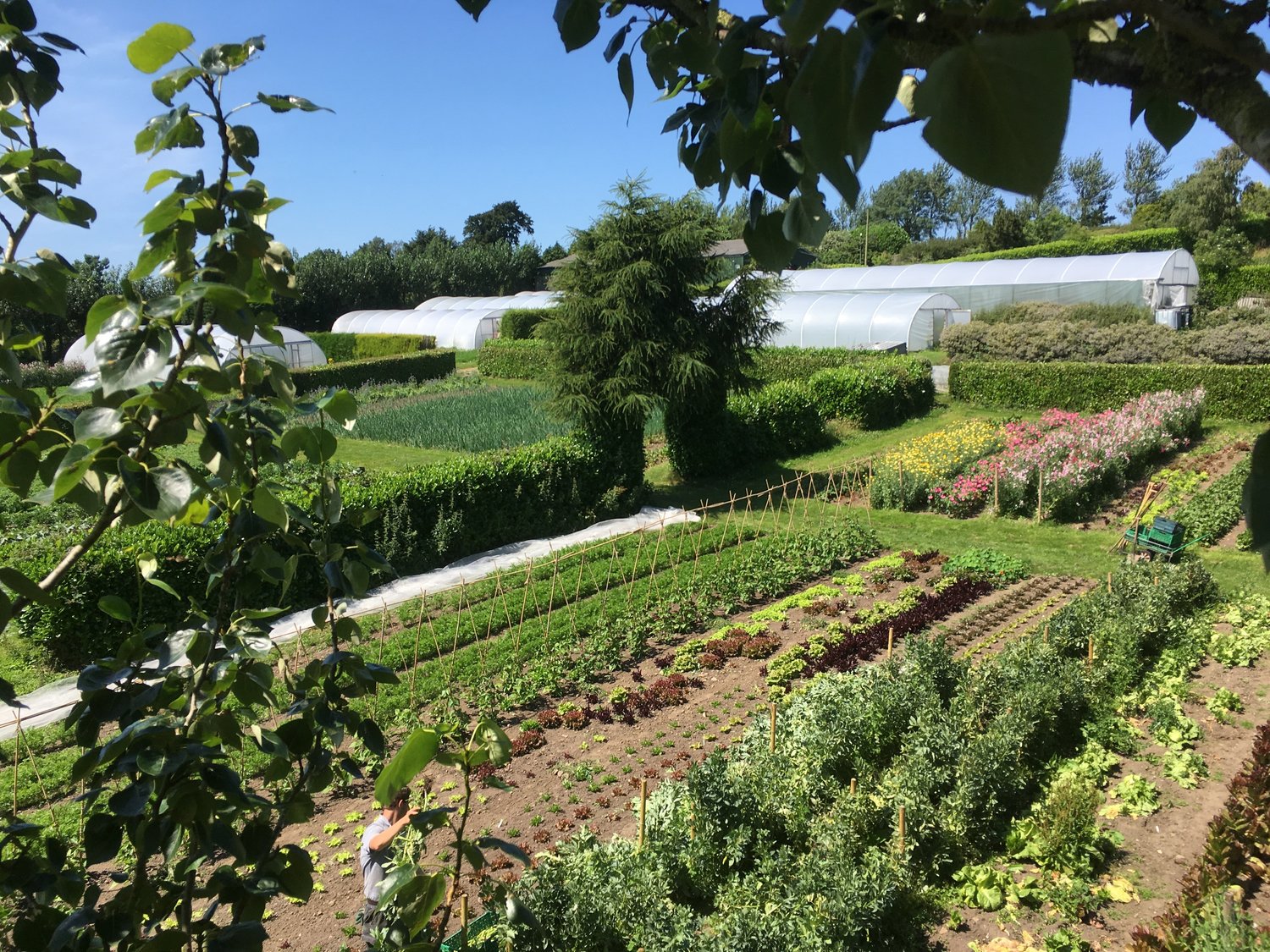 High Riggs Market Garden